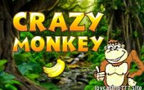 Crazy Monkey